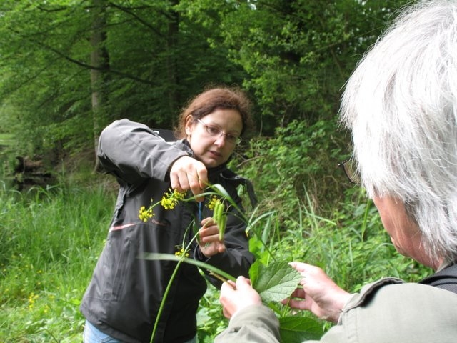 Suivi milieu 13 mai 2007 PDH 069
